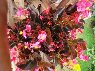 Jegestal Serenity Forest Villa Eco Nature Retreat in Tanzania - 2