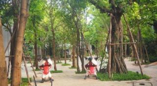 BB House Chaingmai - 4