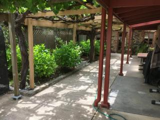 bluebird cottage - Angaston - 8