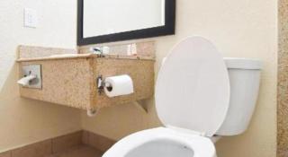 OYO Hotel Tyler Northwest Mineola Hwy - 1