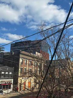 203Bright Cozy Ensuite on Bathurst Comfort & Ease - 3