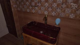 Duplex House Jibhi - 6