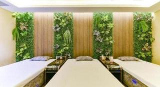 GreenTree Eastern Hotel Handan Daming Bus Station - 3