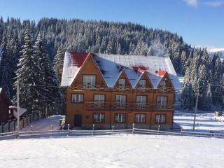 Dream House - Yablunytsya - 0