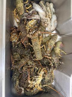 منزل للإيجار اليومي - 7