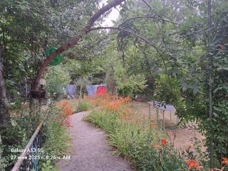 Морска синева - 1