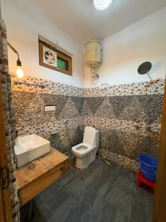 House of Nirvaana - Tirthan Valley - 3