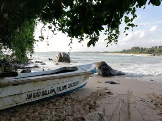 Nathaliya Home Stay For Backpackers - 8