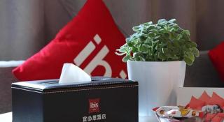 Ibis Ya An Langqiao - 3