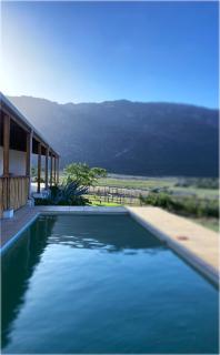 Mountainview Vineyards - 7