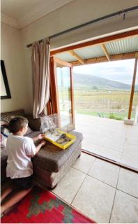 Mountainview Vineyards - 8