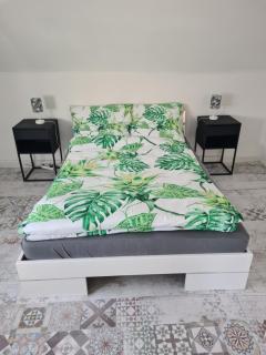 Monstera Apartment - 2