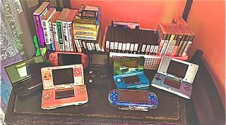 ペットと泊まれる宿 純華 - 2