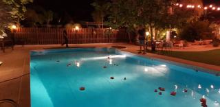 סוויטת בונד גרנד גארדן-BOND Grand Garde Suite - 2