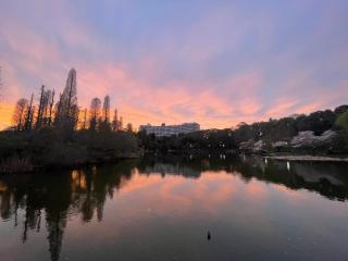 Le Cave Troll ル カーブ トロル - 8