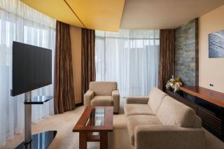 Four Points by Sheraton Kecskemet Hotel and Conference Center - 7