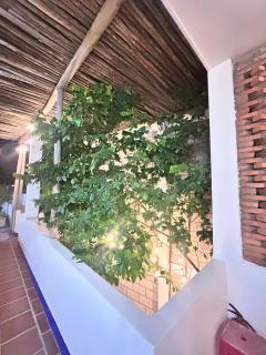 Nhà 7 Homestay Phú Yên - 3