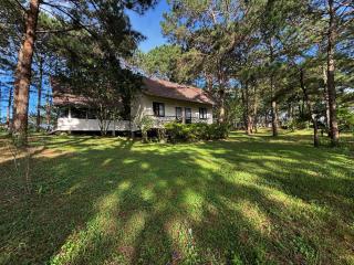 Smiling Pine Dalat - Thông Reo - 6