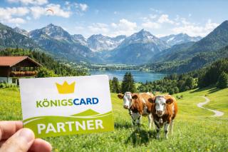 Ferienwohnung Alpenglück hoch3 - 8