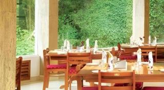 Jungle Park Resorts - 9