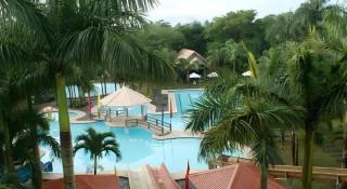 Pineapple Island Resort - 2