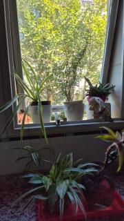 Miller y Olazábal - 9