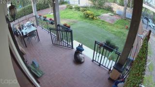 Valona La terrazza sul porto - 6