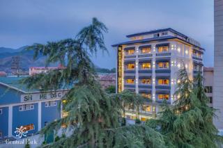 Hotel Central Park Nearby Dal Lake - 1