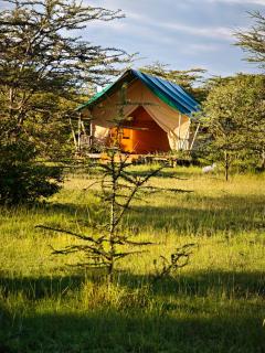 Veilscape Mara Camp - 6
