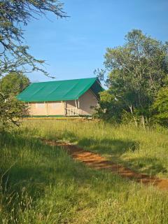 Veilscape Mara Camp - 5