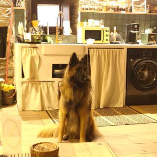 VUT La casita del Pajar - 4