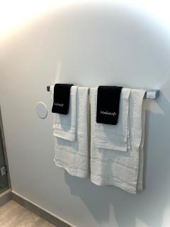 Luxury Downtown Miami Apartment Pool and Gym - 6