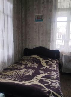 Nature Nest & Restaurant - 1