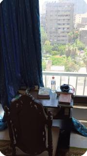 Spacious Garden-View Downtown - 4