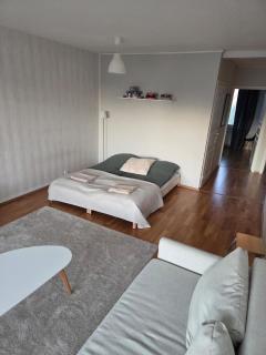 Spacious one-bedroom apartment in the city center - 5