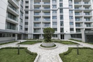 Haven City Oasis - 5