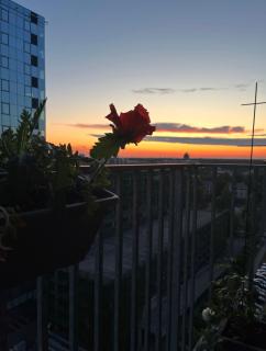 OFFICE DISTRICT 11 floor apartment - 8