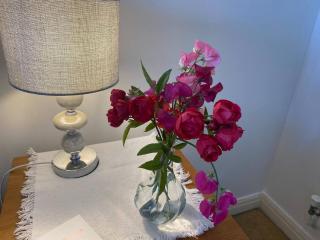 Ensuite Room near Hospital, St Lukes, County Hall - 1