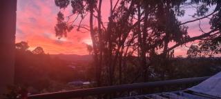 Sunset Treehouse - Wildlife and Hinterland Views - 9