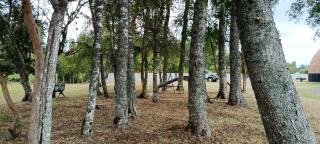 Domo cudico espacio natural - 1