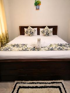 Udara Guest - Yala Safari - 8