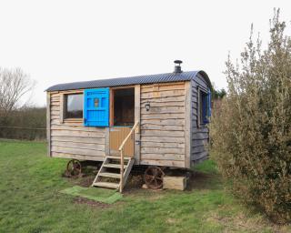 Shepherds Hut Larch Blean Bees Glamping - 0