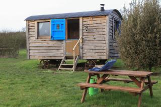 Shepherds Hut Larch Blean Bees Glamping - 5