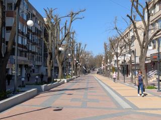 Downtown Apartment By the Lindens - 8