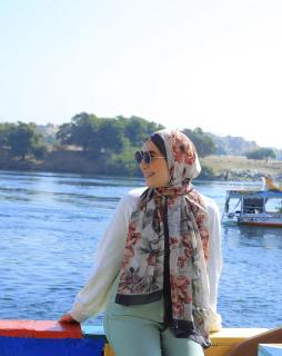 Aswan Nubian village accommodation and Tours - 0