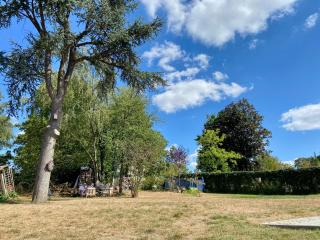 A l'ombre du cèdre - 2