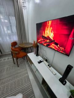 Waridi Homes- Furnished 1br Apartments,Naivasha - 2