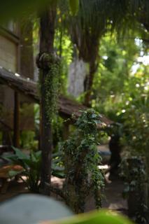 MONSOON Eco Resort - Arugam Bay - 1