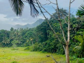 Minu Rainforest Mountain Eco Lodge - 6