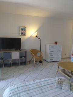 Grand Studio véranda et terrasse - 7